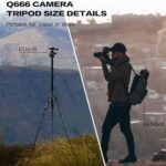 Zomei Camera Tripod 62 Light Weight Dslr Tripod With Ball Head Quick Release Plate And Carrying Case Aluminum Tripod - Image 2