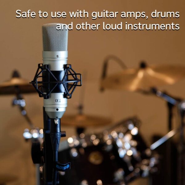 Tascam TM80 Large Diaphagm Condenser Microphone,Silver - Image 4