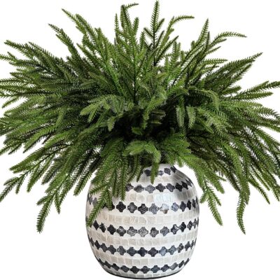 15 Pcs Christmas Norfolk Pine Branches- 19" Extra Length Fake Greenery Norfolk Pine Stems Sprigs- Artificial Xmas Branches Plants Pine Needles for DIY Craft Garland Home Garden Decor