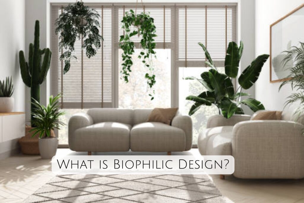 What is Biophilic Design?